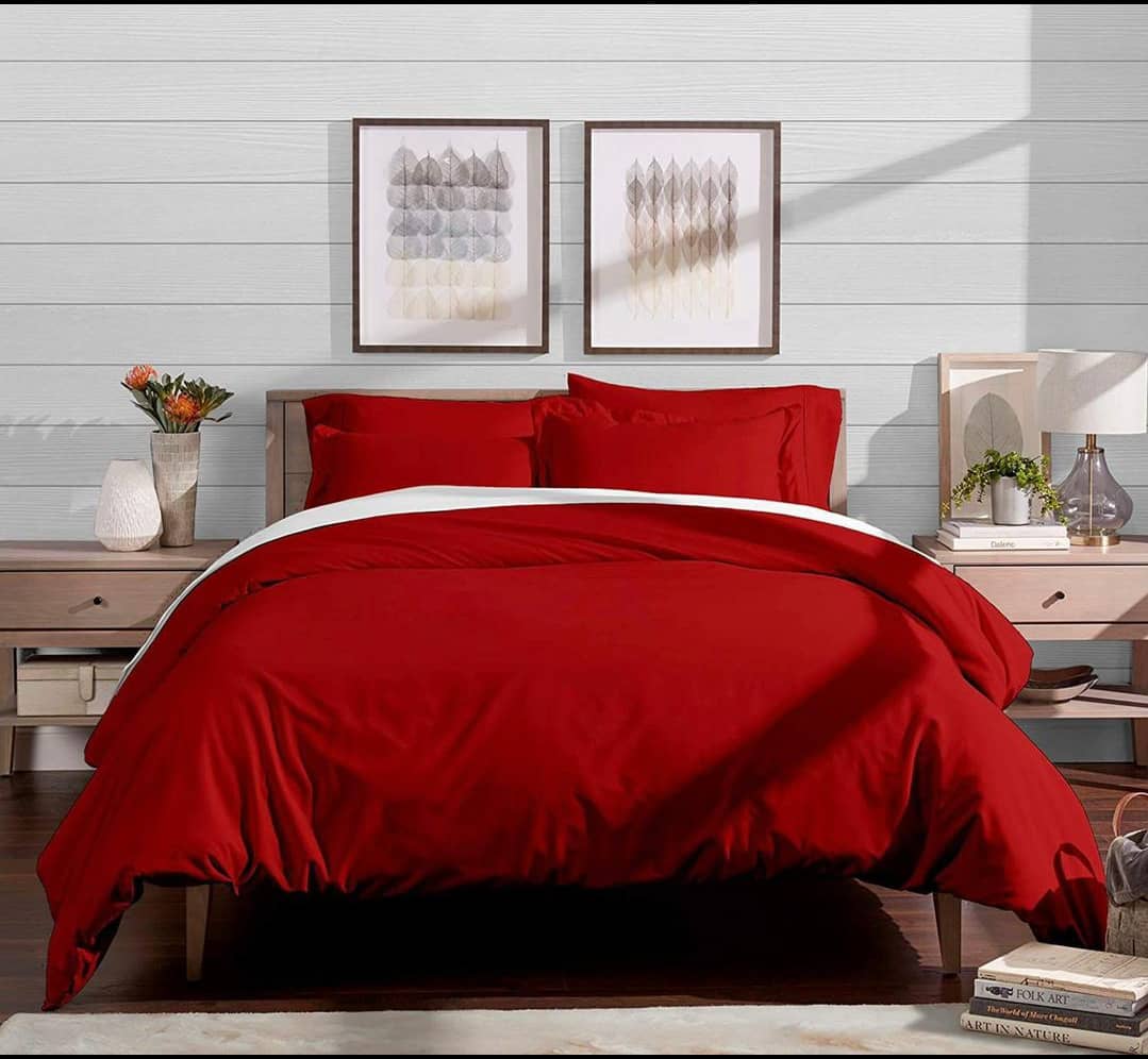 Orthopedic Bed